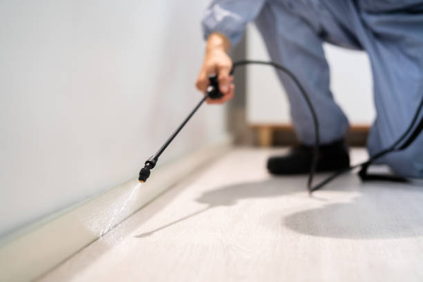 Rodent Entry Point Assessment in Bluffton