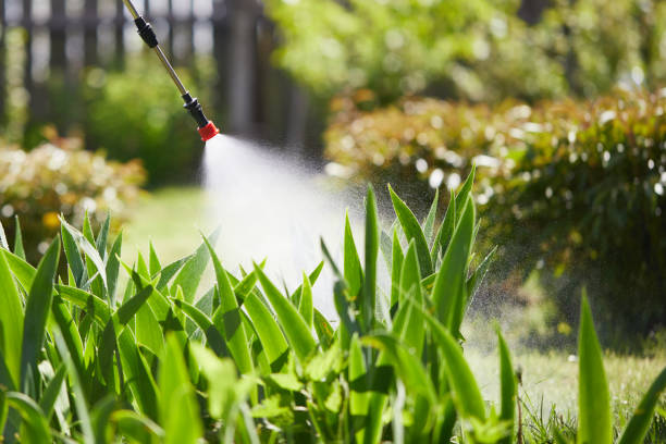 Tamper-Resistant Bait Stations for Rodents in Bluffton