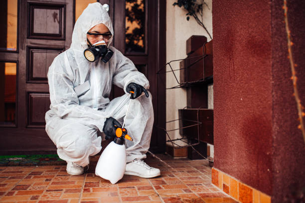 Attic and Crawl Space Rodent Treatment in Bluffton